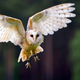 Image for article titled Ornithologist Forced To Participate In History Channel's 'What If Humans Suddenly Became Birds?' Program